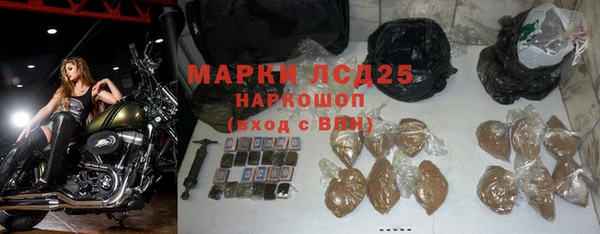 дживик Валдай