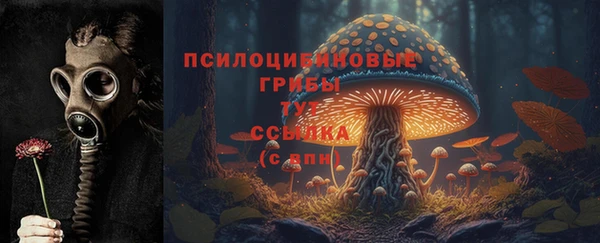 дживик Валдай