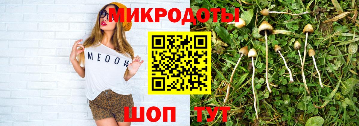 Галлюциногенные грибы прущие грибы  Галлюциногенные грибы Magic Shrooms  Вход с VPN  Елец 