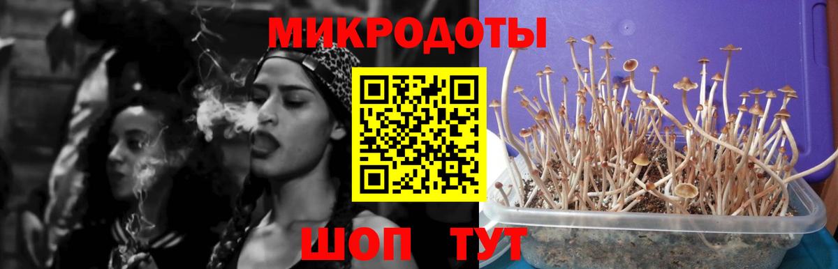 Галлюциногенные грибы ЛСД Елец